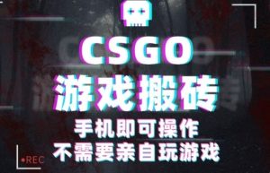 CSGO游戏挂G捡漏，单日扫货5张+，年底小高峰上车可吃肉，手机即可操作，兼职副业创业网创【揭秘】 – 战狼项目网_分享创业资讯_最新网络项目资源-生财有道