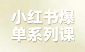 小红书爆单系列课，聚焦小红书电商全链路增长 – 战狼项目网_分享创业资讯_最新网络项目资源-生财有道