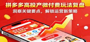 拼多多高投产微付费玩法复盘，洞察关键要点，解锁运营新策略 – 战狼项目网_分享创业资讯_最新网络项目资源-生财有道