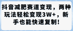 抖音减肥赛道变现，两种玩法轻松变现3W+，新手也能快速复制 – 战狼项目网_分享创业资讯_最新网络项目资源-生财有道