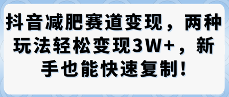 抖音减肥赛道变现，两种玩法轻松变现3W+，新手也能快速复制 – 战狼项目网_分享创业资讯_最新网络项目资源-生财有道