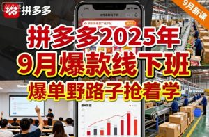 拼多多2025年9月爆款线下班，爆单野路子抢着学 – 战狼项目网_分享创业资讯_最新网络项目资源-生财有道