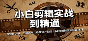 小白剪辑实战到精通，含软件认识、工具运用，各类短片创作，AE特效制作及剪辑技巧 – 战狼项目网_分享创业资讯_最新网络项目资源-生财有道