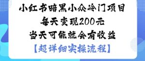 小红书暗黑小众冷门项目每天变现2张当天可能就会有收益 – 战狼项目网_分享创业资讯_最新网络项目资源-生财有道