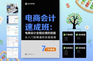 电商会计速成班，电商会计全程处理的技能 – 战狼项目网_分享创业资讯_最新网络项目资源-生财有道