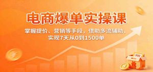 电商爆单实操课：掌握提价、营销等手段，借助多流辅助，实现7天从0到1500单 – 战狼项目网_分享创业资讯_最新网络项目资源-生财有道