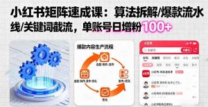 小红书矩阵起号速成课：算法拆解/爆款流水线/关键词截流 单账号日增粉100+ – 战狼项目网_分享创业资讯_最新网络项目资源-生财有道