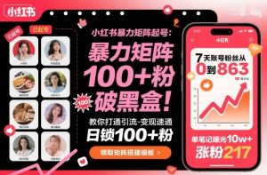 小红书暴力矩阵起号，教你打通引流-变现速通，日锁100+粉，破流量黑盒 – 战狼项目网_分享创业资讯_最新网络项目资源-生财有道