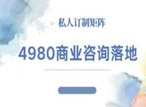 4980商业咨询师落地课程-ip运营高客单教程 – 战狼项目网_分享创业资讯_最新网络项目资源-生财有道