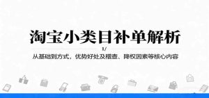 淘宝小类目补单解析：从基础到方式，优势好处及稽查、降权因素等核心内容 – 战狼项目网_分享创业资讯_最新网络项目资源-生财有道