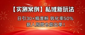 【实测案例】私域新玩法，日引30+精准粉，转化率50%，新人照做也能出单！ – 战狼项目网_分享创业资讯_最新网络项目资源-生财有道
