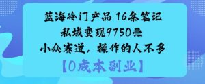 蓝海冷门产品：16条笔记私域变现9750米小众赛道，操作的人不多 – 战狼项目网_分享创业资讯_最新网络项目资源-生财有道