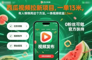 西瓜视频拉新项目，一单13米，有人悄悄用这个方法，一条视频收益2.5w+（附详细教程） – 战狼项目网_分享创业资讯_最新网络项目资源-生财有道