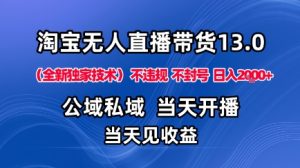淘宝无人直播13.0，公域私域技术，不封号，不违规布局下半年旺季赛道，日入1K+（独家技术）【揭秘】 – 战狼项目网_分享创业资讯_最新网络项目资源-生财有道