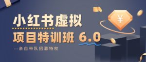 小红书虚拟项目特训课6.0，帮你从0到1打造稳定盈利的店铺，抓住流量红利 – 战狼项目网_分享创业资讯_最新网络项目资源-生财有道