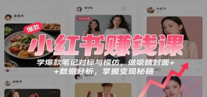 小红书赚钱课:学爆款笔记对标与模仿,做吸睛封面 + 数据分析,掌握变现秘籍 – 战狼项目网_分享创业资讯_最新网络项目资源-生财有道