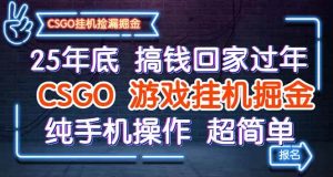 25年底搞钱回家过年，CSGO游戏挂机掘金，纯手机操作超简单 – 战狼项目网_分享创业资讯_最新网络项目资源-生财有道