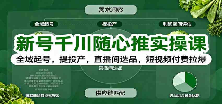 新号千川随心推实操课：全域起号，提投产，直播间选品，短视频付费拉爆 – 战狼项目网_分享创业资讯_最新网络项目资源-生财有道