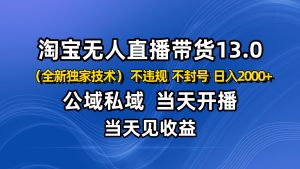 淘宝无人直播13.0，公域私域技术，不封号，不违规 布局下半年旺季赛道，日入2000+ – 战狼项目网_分享创业资讯_最新网络项目资源-生财有道
