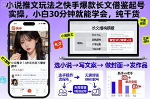 小说推文玩法之快手爆款长文借鉴起号实操，小白30分钟就能学会，纯干货 – 战狼项目网_分享创业资讯_最新网络项目资源-生财有道