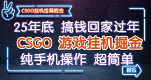 25年底搞钱回家过年，CSGO游戏挂机掘金，纯手机操作超简单 – 战狼项目网_分享创业资讯_最新网络项目资源-生财有道