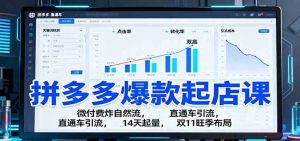 拼多多爆款起店课：微付费炸自然流，直通车引流，14天起量，双11旺季布局 – 战狼项目网_分享创业资讯_最新网络项目资源-生财有道