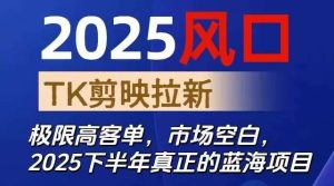 2025风口TK剪映capcut拉新项目，极限高客单，市场空白，2025下半年真正的蓝海项目 – 战狼项目网_分享创业资讯_最新网络项目资源-生财有道