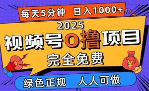 2025视频号0撸项目,5分钟一个号,日入1000+,人人可做 – 战狼项目网_分享创业资讯_最新网络项目资源-生财有道