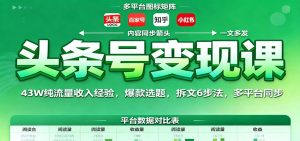头条号变现课：43W纯流量收入经验，爆款选题，拆文6步法，多平台同步 – 战狼项目网_分享创业资讯_最新网络项目资源-生财有道