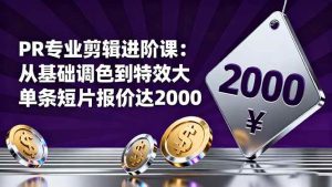PR专业剪辑进阶课：从基础调色到特效大片的进阶技能，单条短片报价达2000 – 战狼项目网_分享创业资讯_最新网络项目资源-生财有道