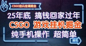 25年底搞钱回家过年，CSGO游戏挂G掘金，纯手机操作超简单【揭秘】 – 战狼项目网_分享创业资讯_最新网络项目资源-生财有道