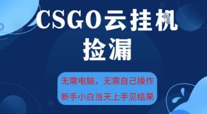 CSGO云挂G全自动捡漏，最新独家玩法，无需电脑操作，新手小白日入5张+【揭秘】 – 战狼项目网_分享创业资讯_最新网络项目资源-生财有道