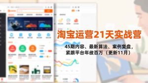 淘宝运营21天实战营，45期内容、最新算法、案例复盘，紧跟平台年入百万（更新11月） – 战狼项目网_分享创业资讯_最新网络项目资源-生财有道