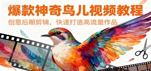 爆款神奇鸟儿视频教程，创意后期剪辑，快速打造高流量作品 – 战狼项目网_分享创业资讯_最新网络项目资源-生财有道