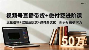 视频号直播带货+微付费进阶课：流量逻辑+微信豆投放+微付费优化，新手月销破50万 – 战狼项目网_分享创业资讯_最新网络项目资源-生财有道