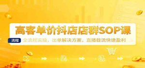 高客单价抖店店群SOP课:全流程实操,出单解决方案,直播截流快速盈利 – 战狼项目网_分享创业资讯_最新网络项目资源-生财有道