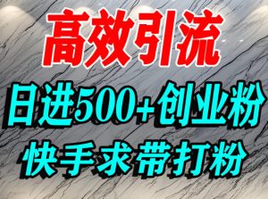怎么打创业粉?快手求带视角精准引流创业粉,宝妈、学生群体日进500+精准流量 – 战狼项目网_分享创业资讯_最新网络项目资源-生财有道