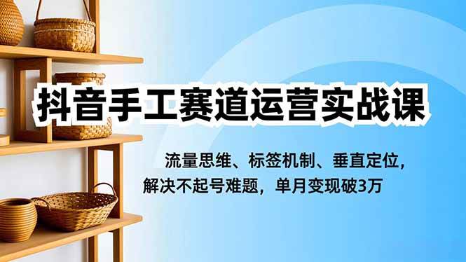 抖音手工赛道运营实战课，流量思维、标签机制、垂直定位，解决不起号难题，单月变现破3万 – 战狼项目网_分享创业资讯_最新网络项目资源-生财有道