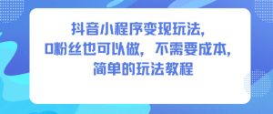 抖音小程序变现玩法，0粉丝也可以做，不需要成本，简单的玩法教程 – 战狼项目网_分享创业资讯_最新网络项目资源-生财有道