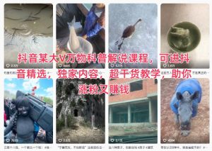 抖音某大V万物科普解说课程，可进抖音精选，独家内容，超干货教学，助你涨粉又賺钱 – 战狼项目网_分享创业资讯_最新网络项目资源-生财有道