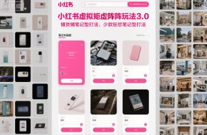 小红书虚拟矩阵玩法3.0，铺货铺笔记型打法，少款狂怼笔记型打法 – 战狼项目网_分享创业资讯_最新网络项目资源-生财有道