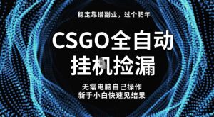 【稳定副业】全球最热门游戏CSGO全自动捡漏，最新玩法，新手小白日入5张+【揭秘】 – 战狼项目网_分享创业资讯_最新网络项目资源-生财有道