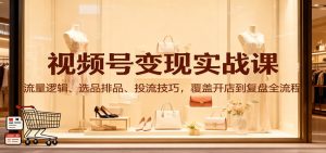 视频号变现实战课：流量逻辑、选品排品、投流技巧，覆盖开店到复盘全流程 – 战狼项目网_分享创业资讯_最新网络项目资源-生财有道