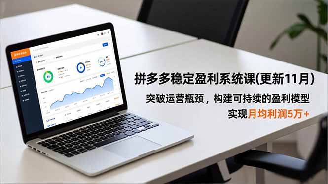 拼多多稳定盈利系统课(更新11月)，突破运营瓶颈，构建可持续的盈利模型，实现月均利润5万+ – 战狼项目网_分享创业资讯_最新网络项目资源-生财有道