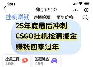 12月年底抓紧最后一个月，用CSGO游戏挂G捡漏掘金賺钱掘金，一部手机轻松日入5张+【揭秘】 – 战狼项目网_分享创业资讯_最新网络项目资源-生财有道