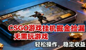 CSGO游戏挂G掘金捡漏，不需要玩游戏，操作简单，收益稳定【揭秘】 – 战狼项目网_分享创业资讯_最新网络项目资源-生财有道