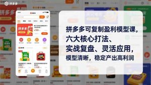 拼多多可复制盈利模型课，六大核心打法、实战复盘、灵活应用，模型清晰，稳定产出高利润 – 战狼项目网_分享创业资讯_最新网络项目资源-生财有道