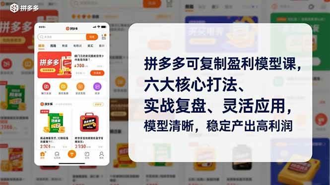拼多多可复制盈利模型课，六大核心打法、实战复盘、灵活应用，模型清晰，稳定产出高利润 – 战狼项目网_分享创业资讯_最新网络项目资源-生财有道