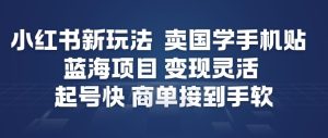 小红书新玩法，卖国学手机贴，蓝海项目，变现灵活，起号快，商单接到手软 – 战狼项目网_分享创业资讯_最新网络项目资源-生财有道