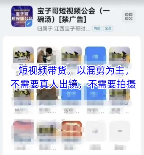 宝子哥头部团队短视频带货，以混剪为主，不需要真人出镜，不需要拍摄【更新11月】 – 战狼项目网_分享创业资讯_最新网络项目资源-生财有道